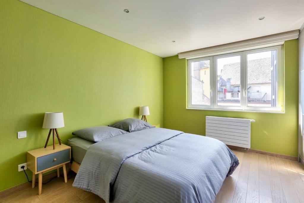 Appartement Spacieux Au Coeur De Strasbourg Ngoại thất bức ảnh